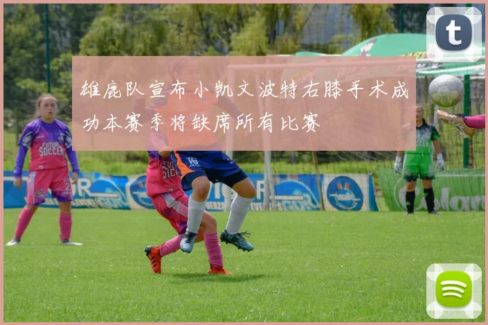 雄鹿队宣布小凯文波特右膝手术成功本赛季将缺席所有比赛
