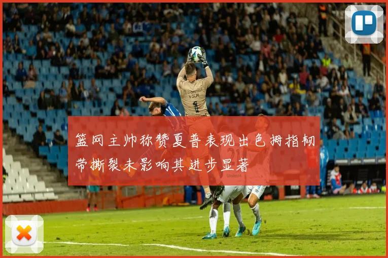 篮网主帅称赞夏普表现出色拇指韧带撕裂未影响其进步显著